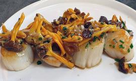 restaurant Hortus